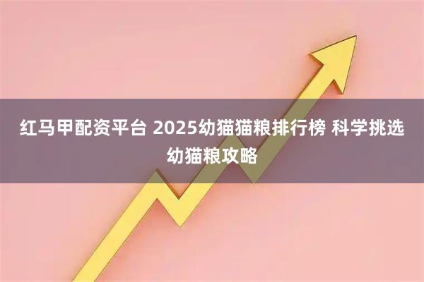 红马甲配资平台 2025幼猫猫粮排行榜 科学挑选幼猫粮攻略