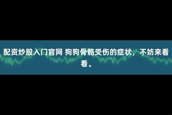 配资炒股入门官网 狗狗骨骼受伤的症状，不妨来看看。